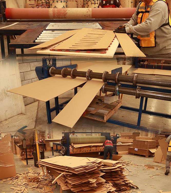 fabricacion y maquinas para empaques de carton coahuila
